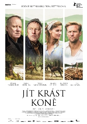 Jít krást koně